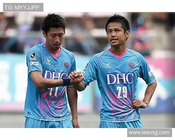 鸟栖砂岩与长崎航海的奇妙交汇与文化碰撞探讨